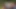Benim için bir fotoğraf çekimi kurduğunu söyledi ama onun yerine beni parkta sikti!