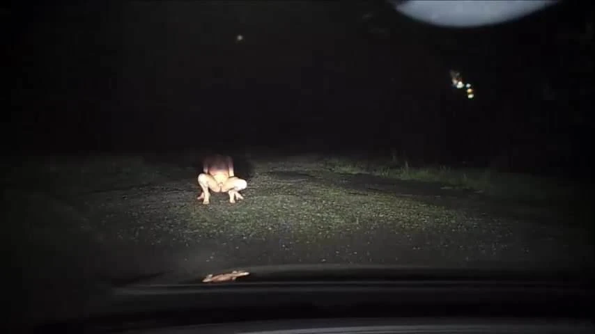 stray dog without a leash but with a cage