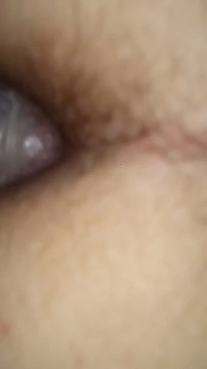 anal novi sad 4