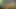 Amatör oral seks – genç pov kafa verir