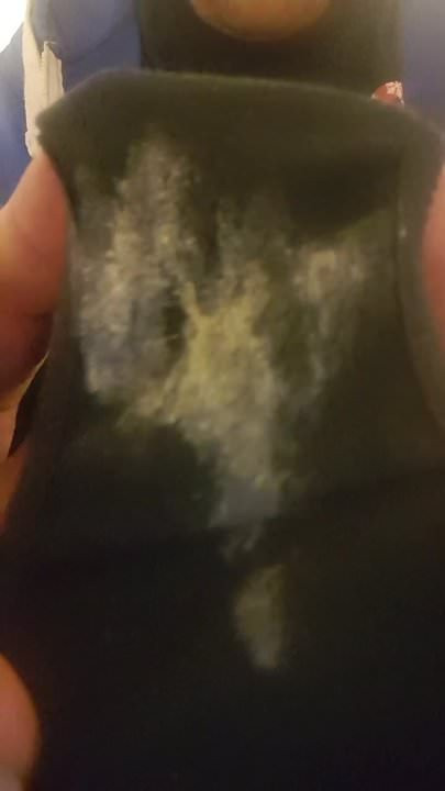 My wifes stinky panties
