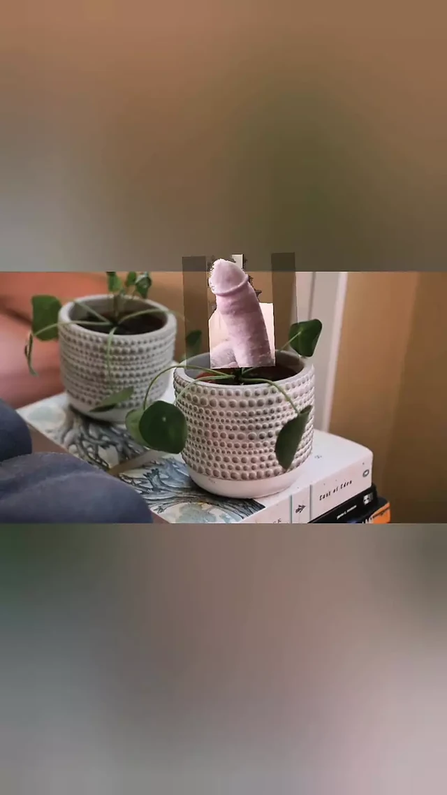 Different flower pots