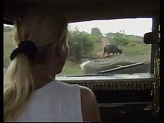 Dbm - taman safari