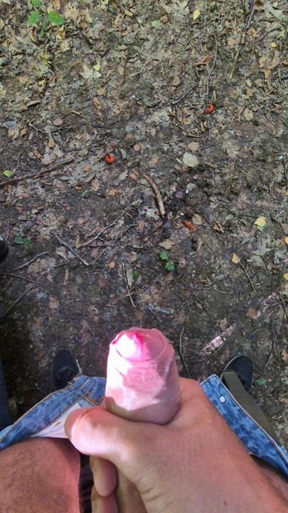 Ejakulacija u šumi