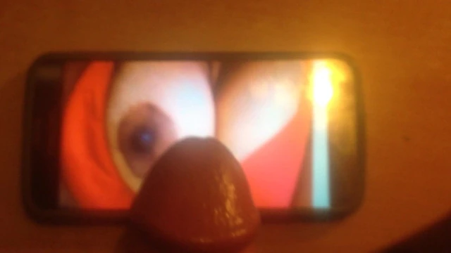 Laura Tribute