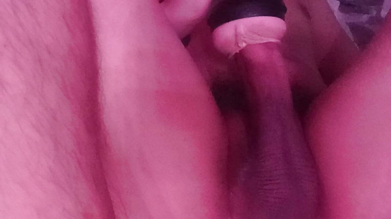 Warm My Milk Day 1664