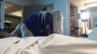 Pregled videozapisa