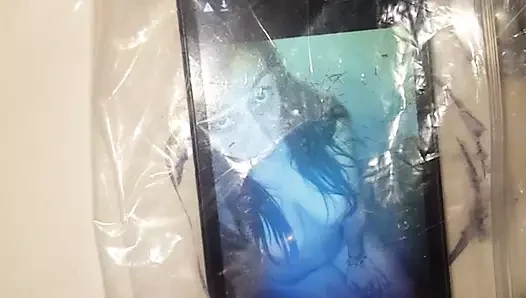 Tributo a una perra