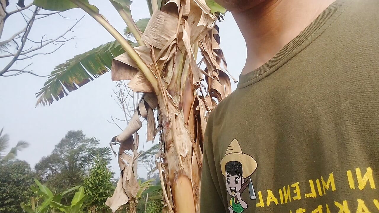 A young man's journey to the rice field where he is urinating again