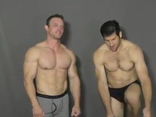 Músculo gay