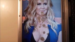 Amy Schumer Cum Tribute 3