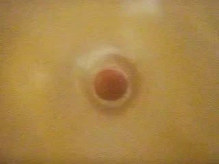 flesh light internal