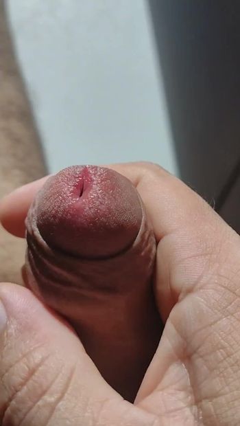 Young man showing his cock