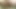 King Cock 12 inch dildo - Full insert from front and cum