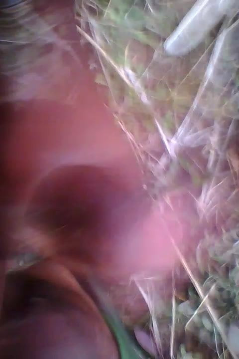 Desi land video