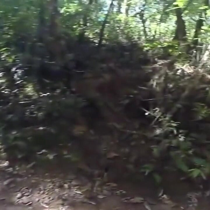 Handjob in the Waterfall Cumming with Soft Cock