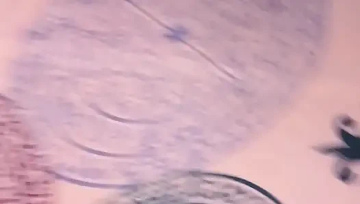 сводную сестру и сводный брат в плохой комнате