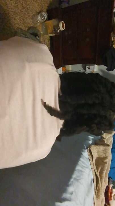I Creamed so Hard While Taking Doggy From Black Man