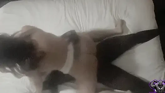 Stacxxxs Hanya Menyajikan Satu Malam di Sammiesworld