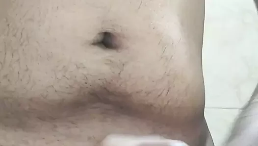 Hintli döl