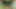Gay cruising in the forest, hot blowjob
