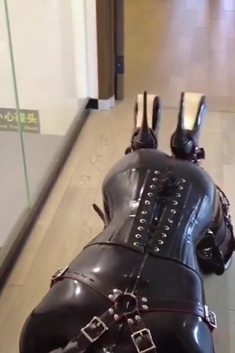 Mz12 - Latex-bound Puppy Vibrates to Reach Orgasm