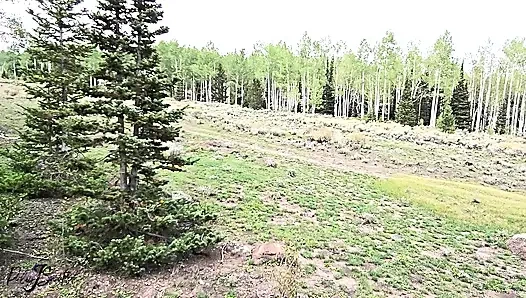 Açık havada büyük sakso