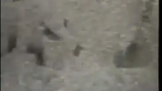 Больше желания для члена