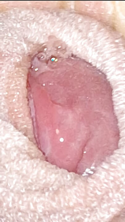 Playing With Zoom levels Short