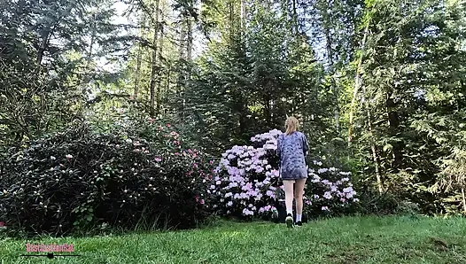 Поправляю двор