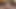 Lelu lovevibrator Mastürbasyon orgazm konuşurken kirli