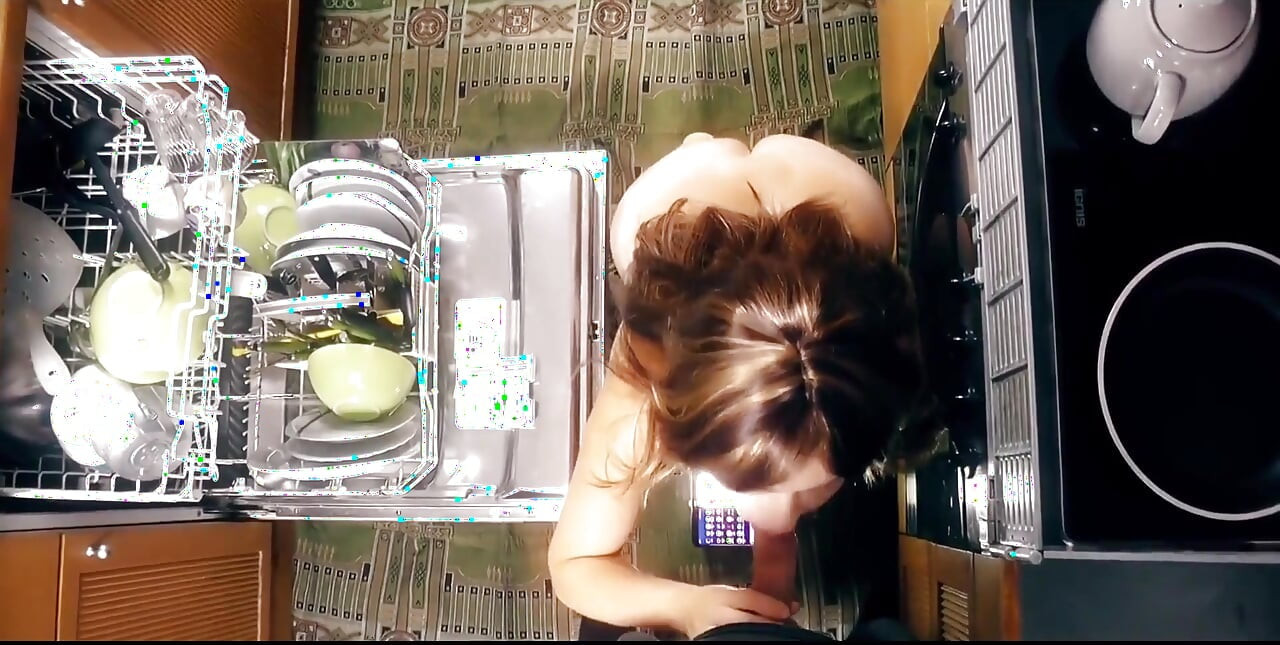 This Dishwasher Sucks!