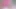 Pembe külotlu osuruk - o kadar yakın ki kokusunu alabilirsiniz
