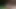 Cute boy masturbating cum