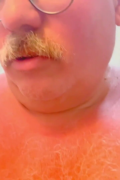 肥胖的男性巨熊在洗澡玩耍