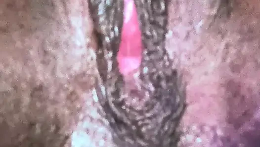 All My Pussy