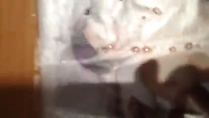 Cum haraç için çobanpüskülü hagan 1