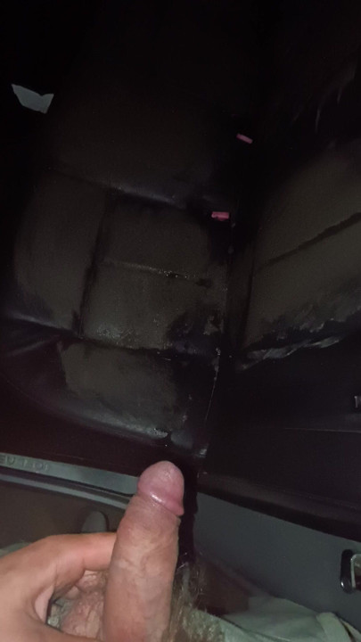 my lovely pissing on muddy car seats