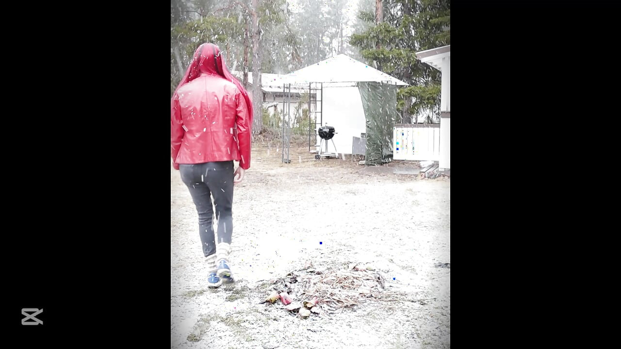 Little walk in snowfall