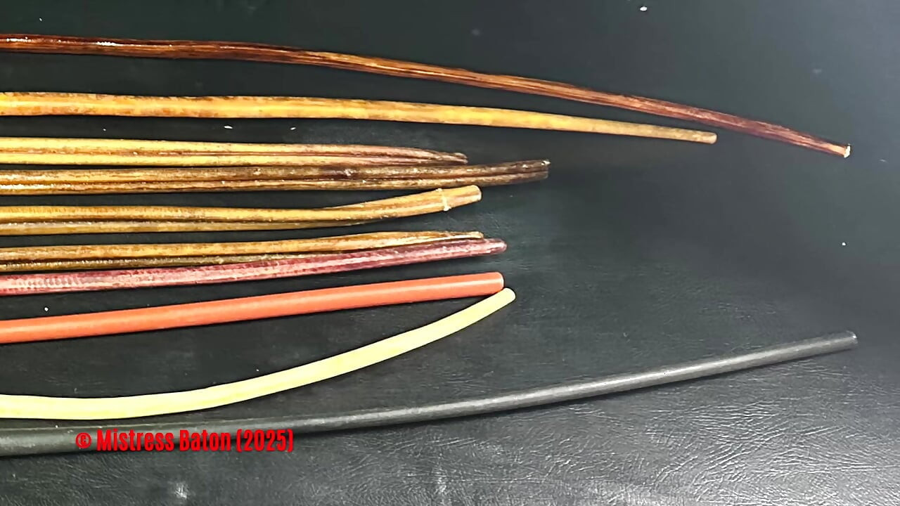 Alle meine Sjamboks &Ochsenziemer