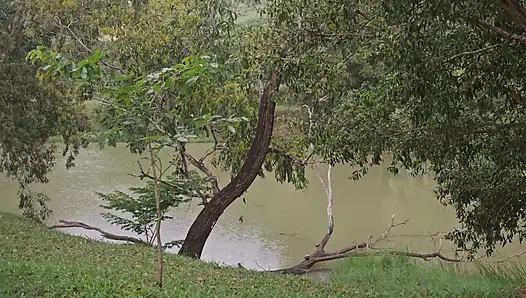 Шлюховатая незнакомка занимается трахом после тренировки в парке
