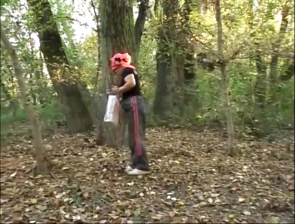 ピクニックの後に遊ぶ成熟したカップル