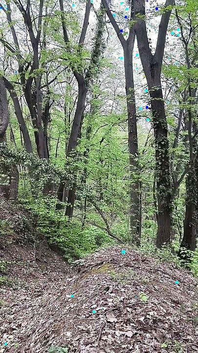 Malo golo šetanje kroz šumu