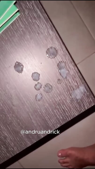 Мечка се самозадоволява