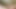 Wanking in the dutch dunes near Zandvoort with creamy cumshot