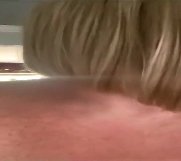 Did I Post This Bs Lol