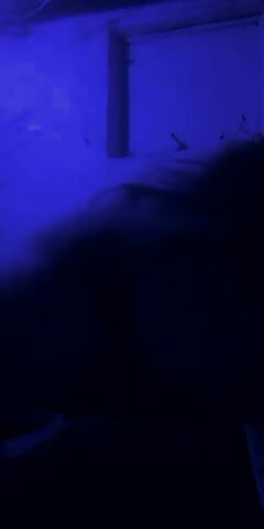 Lilbooof video