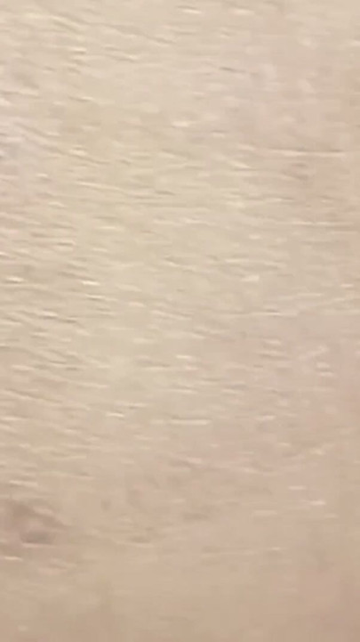 Hint Desi Bhabhi | Desi Bhabhi Dar Amcık | Bölüm 2