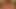 Ficken ist das Hobby der rasierten Fotze
