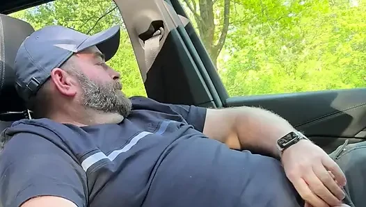 Bear almost got caught in the car